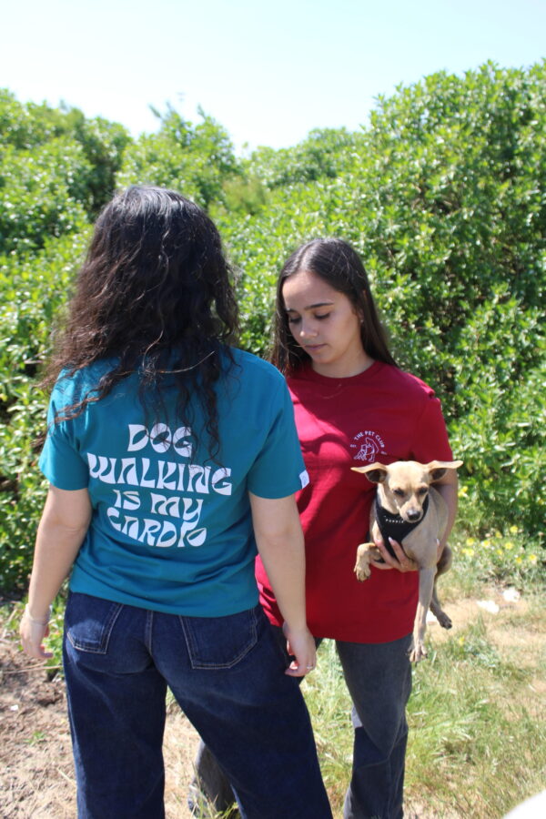 T-shirt dog walking