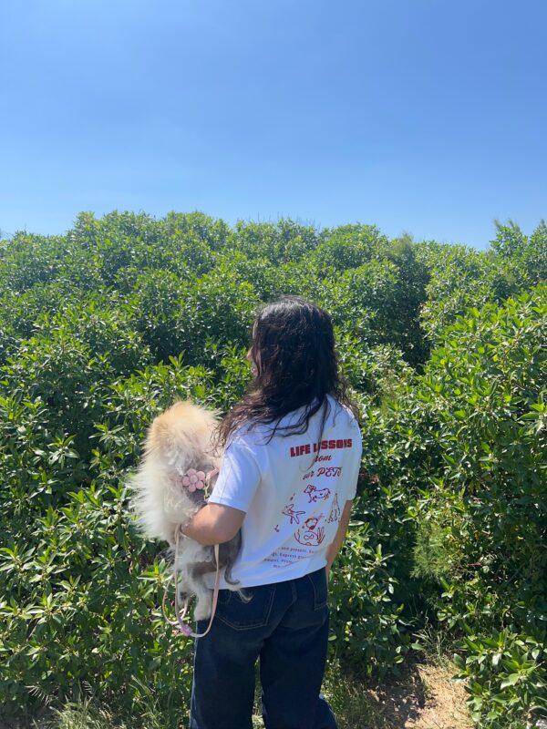 T-Shirt Life Lessons