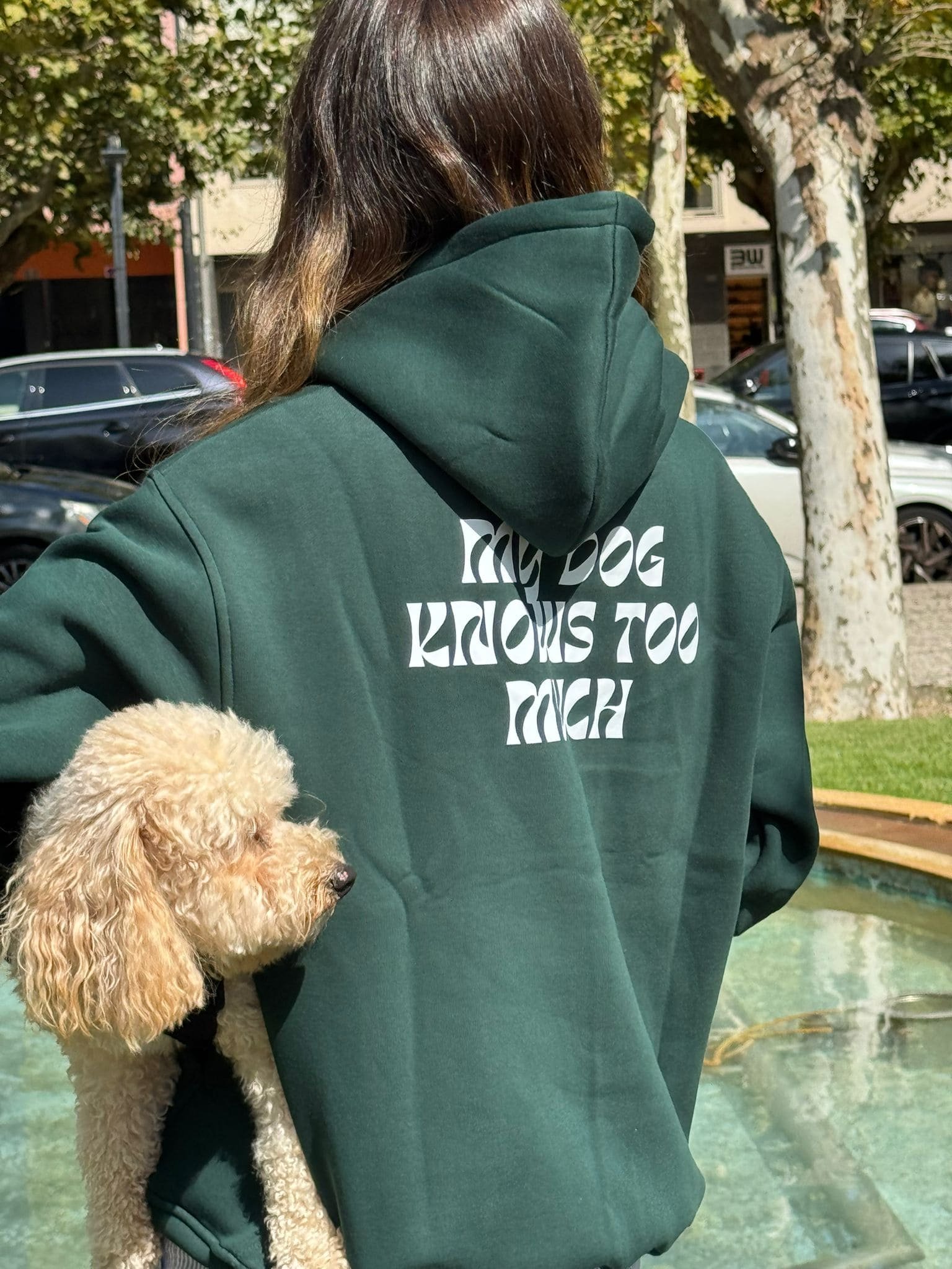 The Confident Hoodie